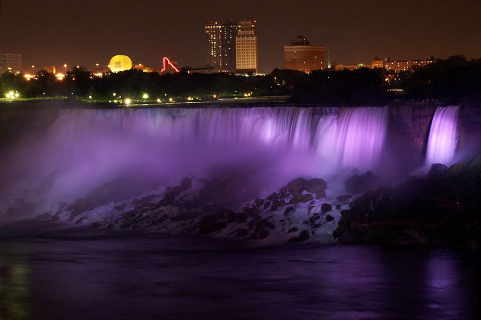 Purple Day for Epilepsy Around the World (2019)