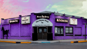 Annual Paint The Pony Purple